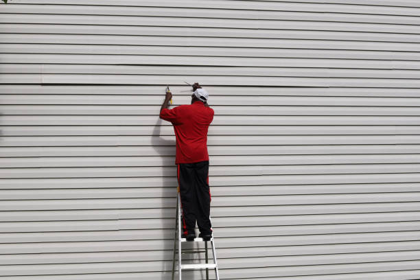 Best Fascia and Soffit Installation  in Red Lake, MN
